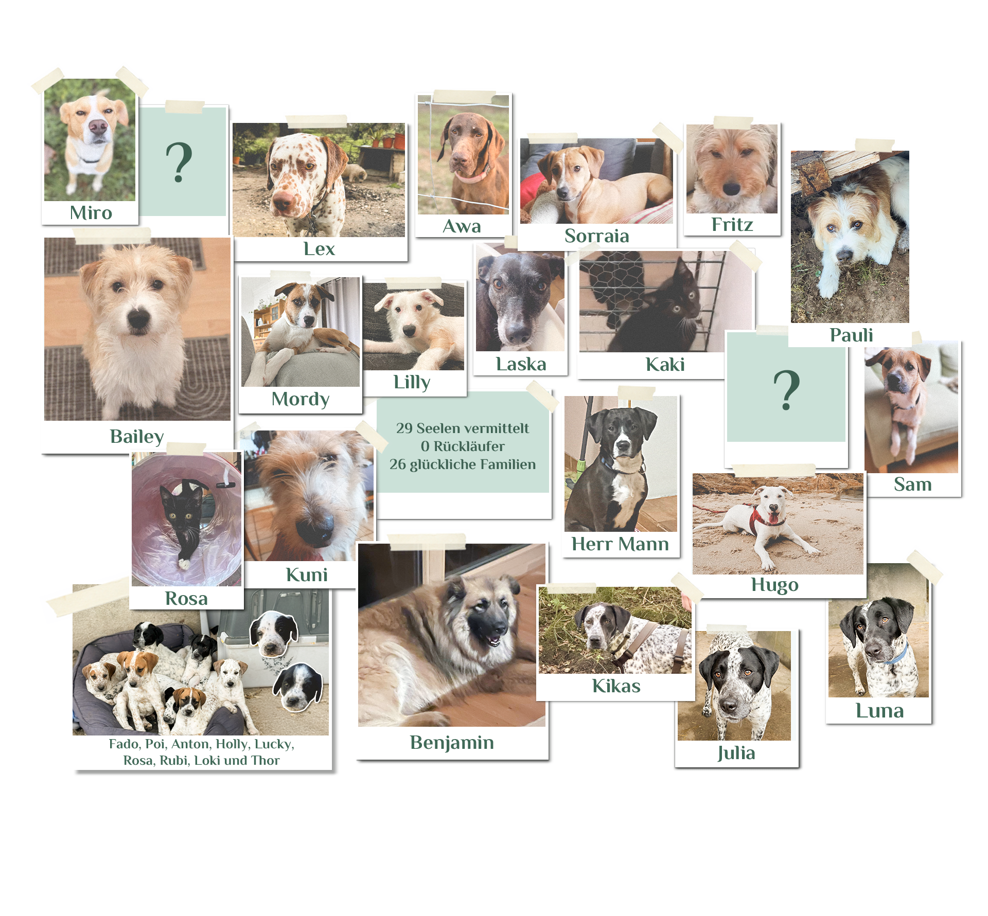 walloffame